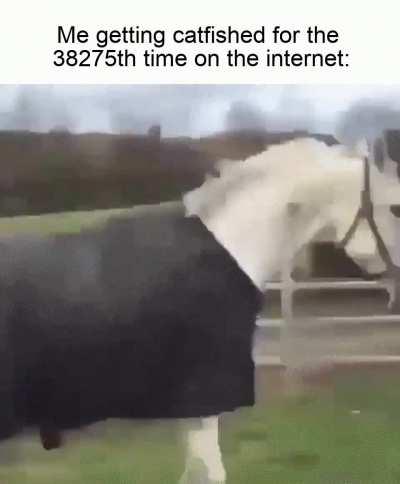 The horses aren't safe anymore, either