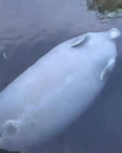 Just passing through