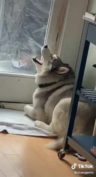 Not sure if it belongs here