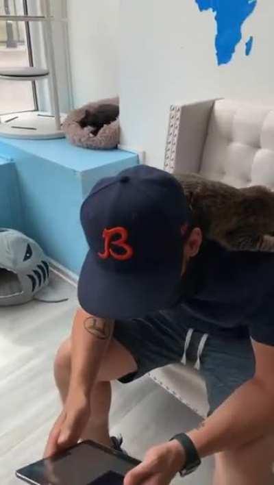 This little cutie climbed up on me while I applied to adopt her