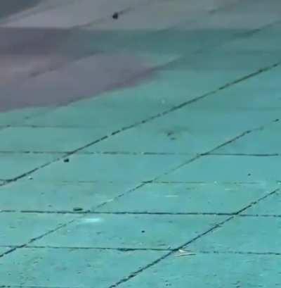 The rave's dancing queen