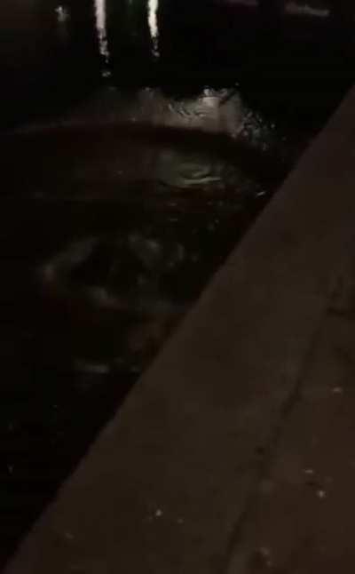 Being drunk and throwing a bicycle in the water