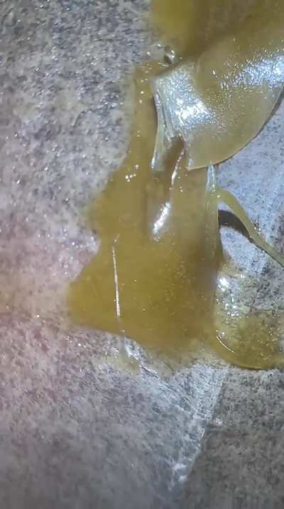 Moroccan static sift rosin press.