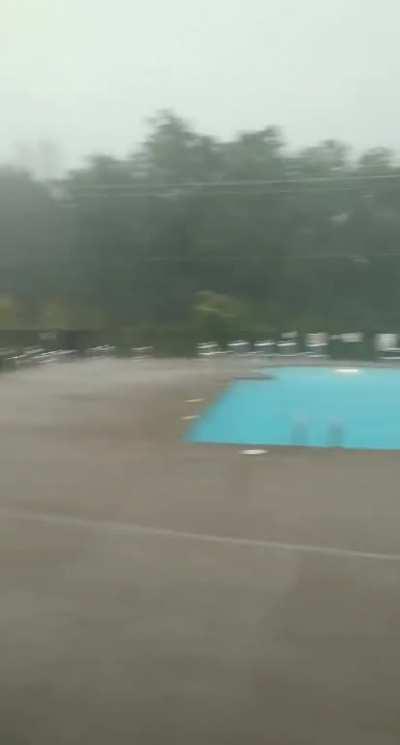 Being a lifeguard is fun