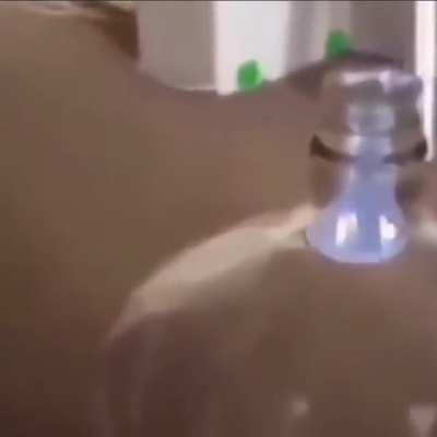 *Titulo interesante *