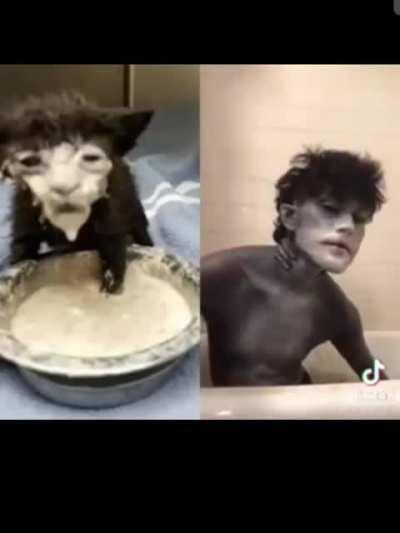 An interesting title.