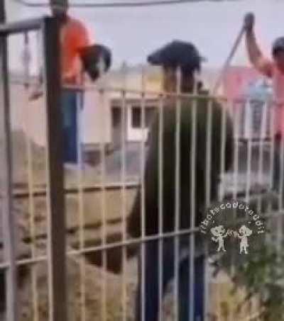 Deu pra ver a alma saindo do corpo deles