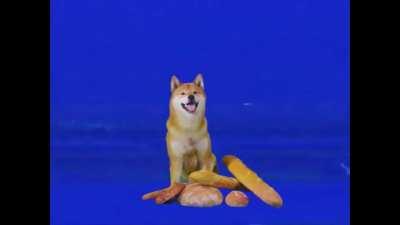 Ever heard about tofu chan😂😂😂??