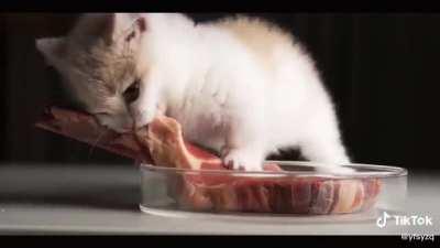 reposting here to preserve