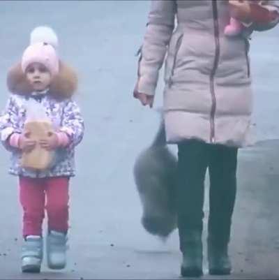 That Cat Is A Friggin' Ninja Checking His Six