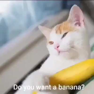 do u want a banana 🍌