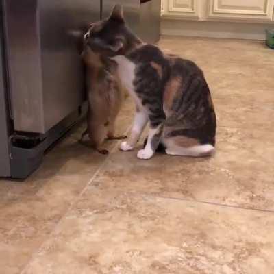 “Yes, that’s it, keep going”