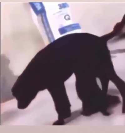 Father/Son bonding time