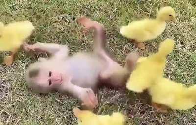 Thanks, I love friends hanging out