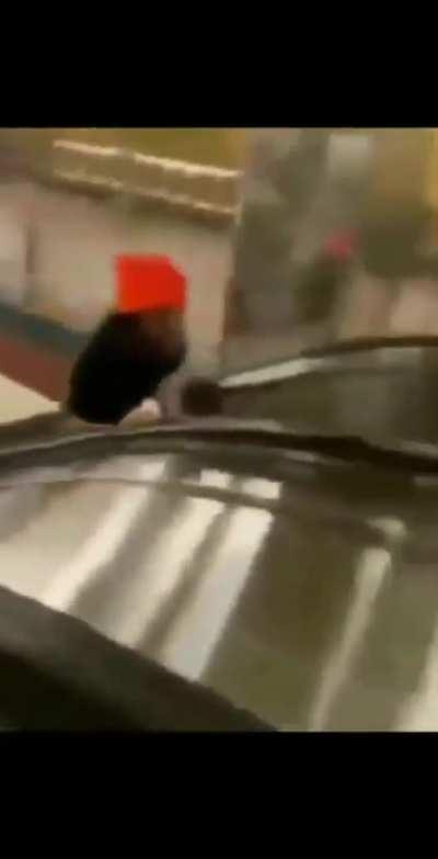 Eu me emocionei nessa cena 😭