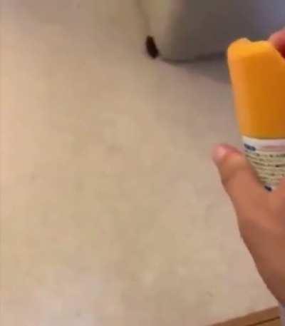 That scream at the end lol