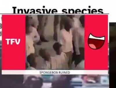 that i cant get out got me singin like