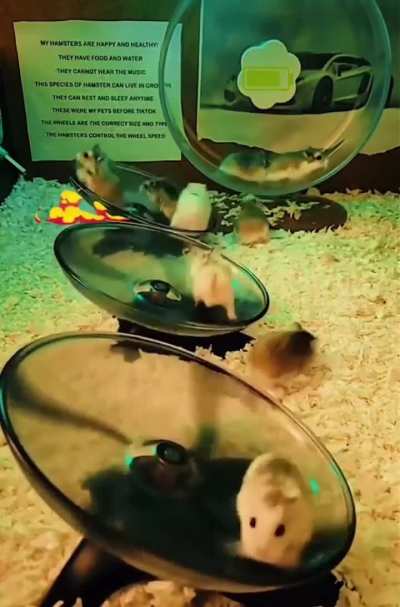 januar. ..b ........ 🗨