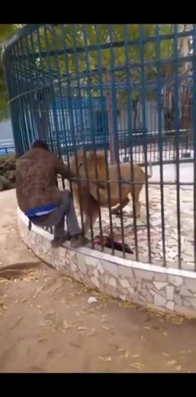 I'm sure he'll never visit a zoo again. Never!