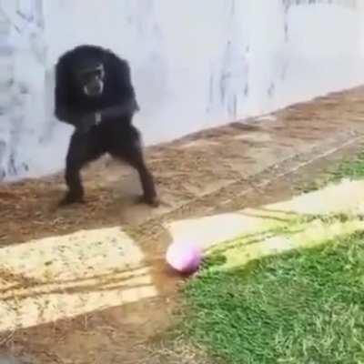 Chris when he finds another marble game