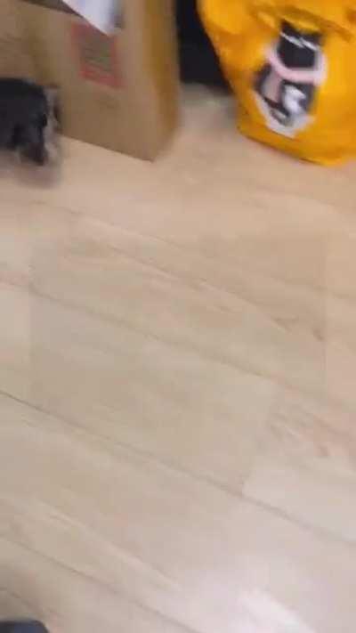 Когда готовился к этому всю жизнь и подвернулся шанс