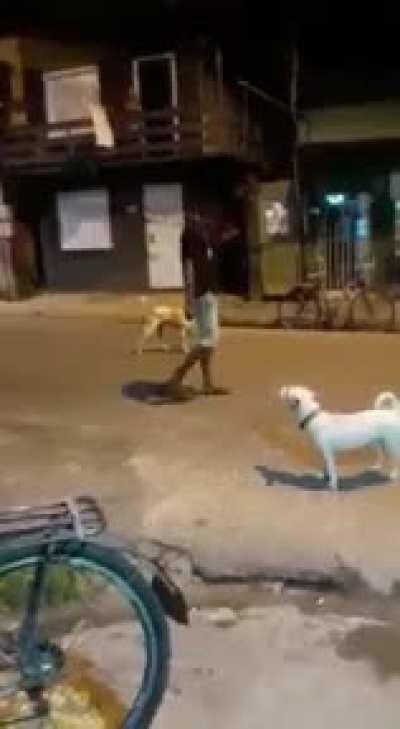 Rock Lee vs Akamaru *real footage*