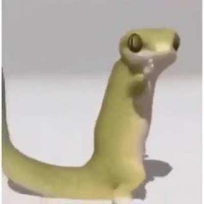 An interesting title