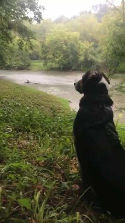 Last year in West Virginia ft. Oswald (part 2)