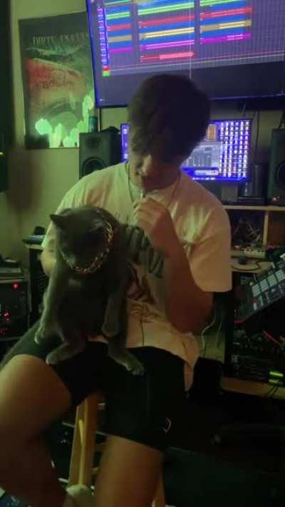 Kitty kat has something to say