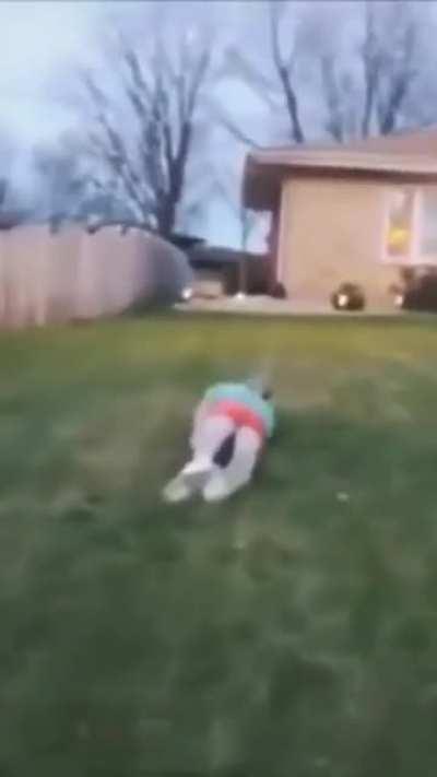 Luangameplay666 - Video #1437