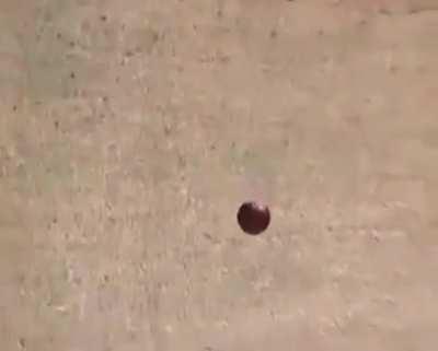 Umpiring is my passion !