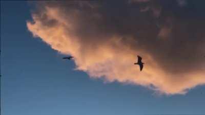 Suicidal Doesn't Always Look Suicidal