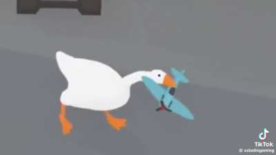 Found on my TikTok FYP