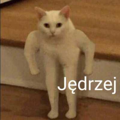 Jędrzej