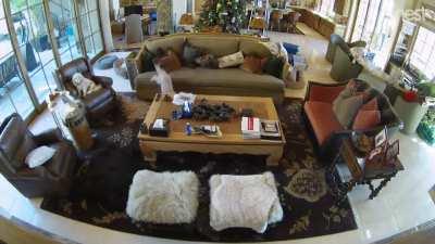 My mom spent 3 days decorating this tree with heavy, antique ornaments