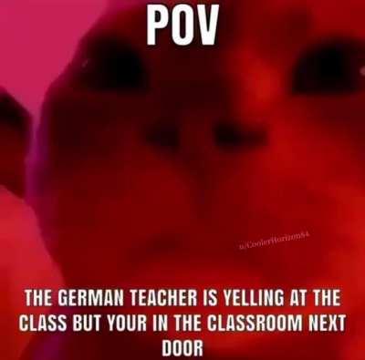 Why are German Teachers so scary