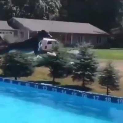 Spitfire jumps a distance of over 31 feet to create a new world record for the farthest leap by a dog