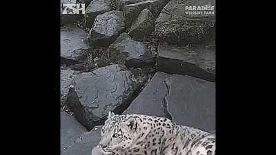 song is e t h e r e a l by Tokyopilled