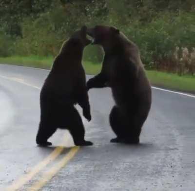 Black on black crime (Canadian DLC)