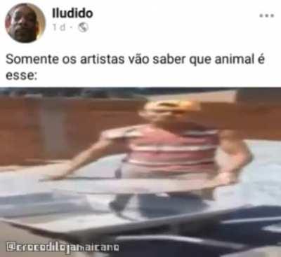 Penéra direito🤨