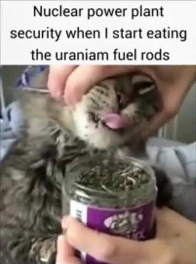 Om nom nom