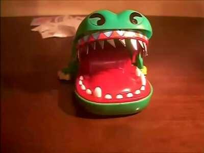Crocodile dentist with razors