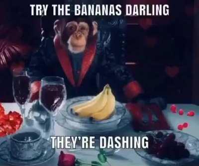 POV: dinner with connor