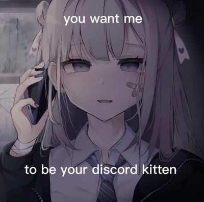 Real women reaction to being a discord kitten