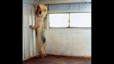 The new scp 173 got more sotry bu tthe old got a bit more meme power. link in comments.