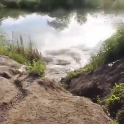 Performing an incredible Bike Stunt....