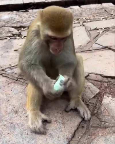 It is important to be hygienic