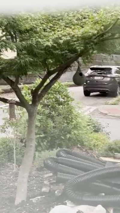 People peeing on my neighbors retaining wall. Neighborhood full of kids.