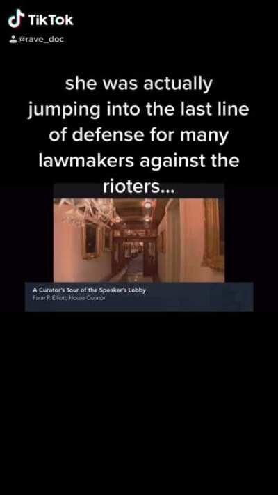 Video explaining why the Trump Flag woman breaching the Speakers Lobby got shot by Capitol Police