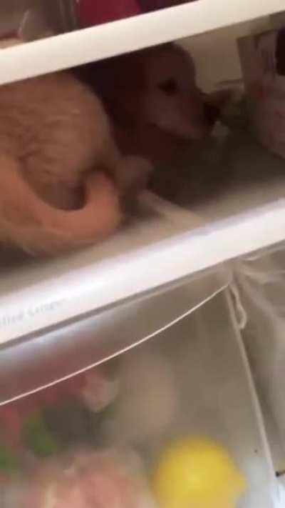 Charlie’s a bit hot.